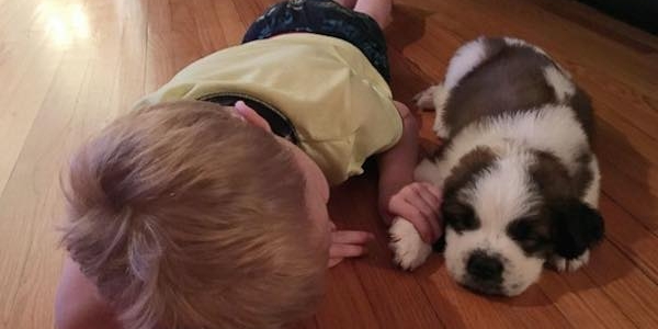 現代っ子の発想が斜め上 4歳の男の子が考えた 犬のしつけ方法 が斬新すぎると話題に Berry ベリー